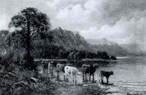 Schottische Hochlandrinder An Der Tranke by William Langley