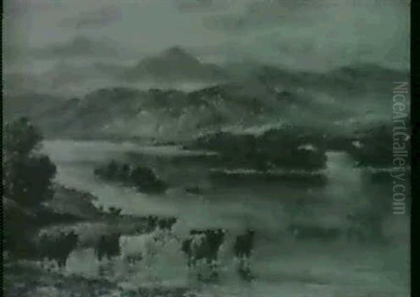 Cattle Watering In Highland Lake Landscapes                 (2) - view 1
