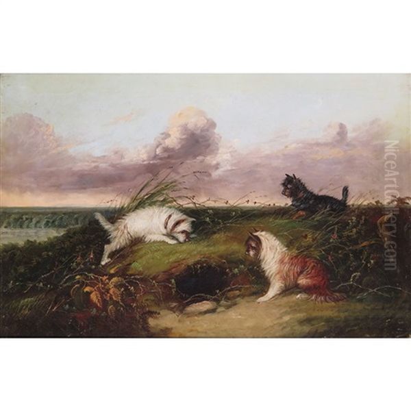 Terriers Rabbiting, Waiting At A Rabbit Hole - view 1