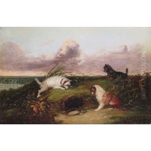Terriers Rabbiting, Waiting At A Rabbit Hole Terriers Rabbiting, Waiting At A Rabbit Hole