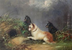 Terriers Beside A Rabbit Hole Terriers Beside A Rabbit Hole