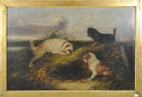 Chiens - view 1