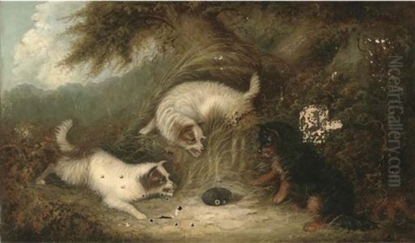 Terriers With A Hedgehog - view 1