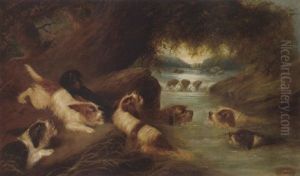 Spaniels By A River Spaniels By A River