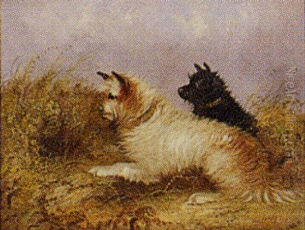 Terriers In A Field - view 1
