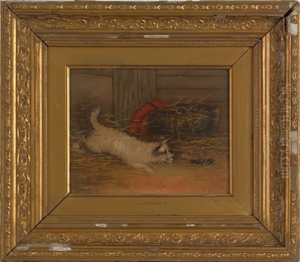A Dog Crouching Next To A Cricket Lying On Its Back - view 1