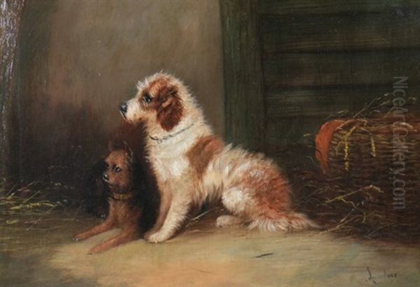 Spaniel - view 1