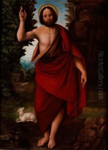Heiliger Johannes Der Taufer by Bernardino Lanino