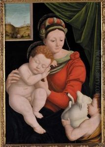 Madonna, Bimbo E San Giovannino by Bernardino Lanino