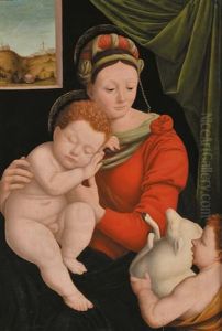 Madonna, Bimbo E San Giovannino by Bernardino Lanino