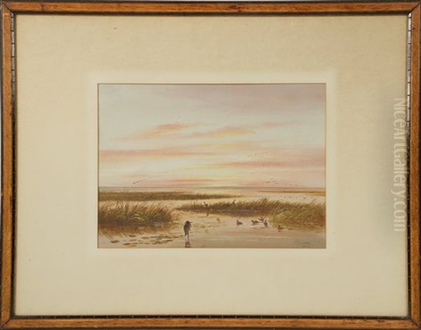 Marsh Birds - view 1