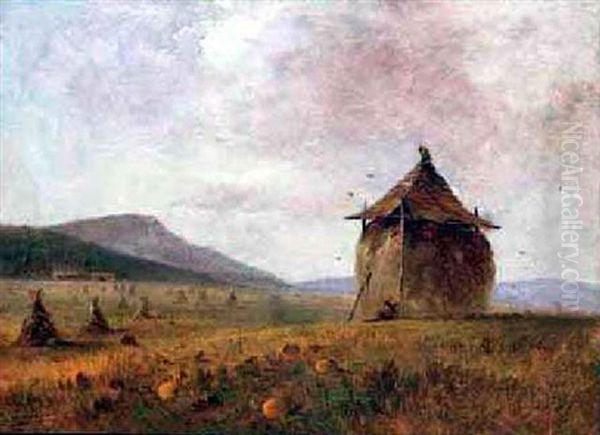 Hay Field - view 1