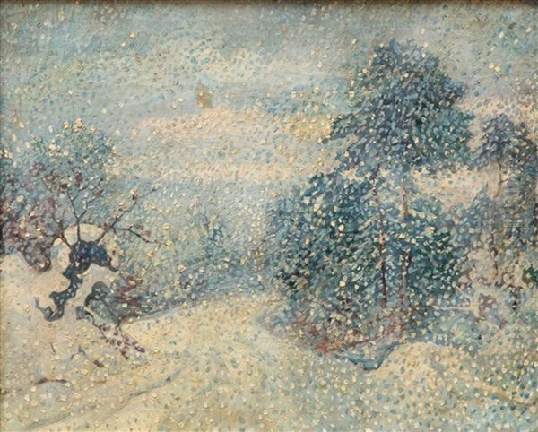Sneeuwbui - view 1