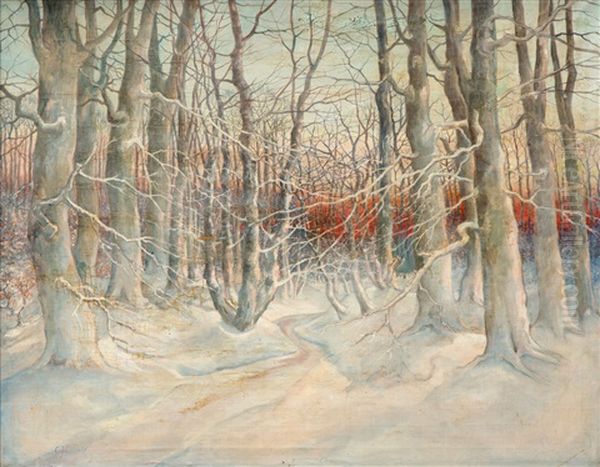 Winters Bos Met Ondergaande Zon - view 1