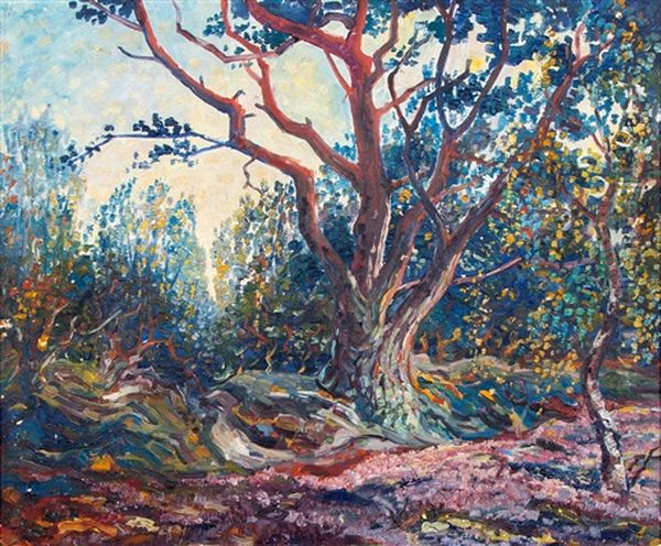 Heidelandschap Op De Veluwe - view 1