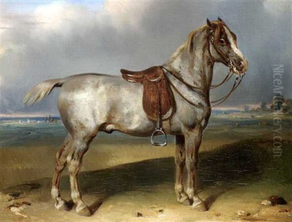 Cheval - view 1