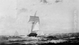 Sailing Of The Vineyard