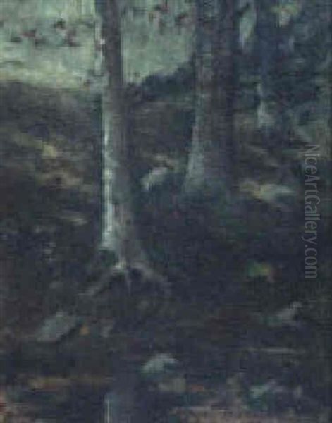 A Deserted Pasture, 1893 - view 1