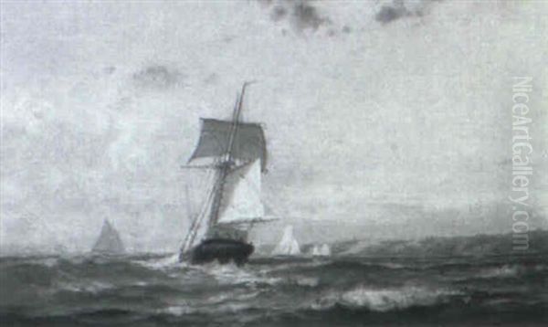 Harbor Scene - view 1