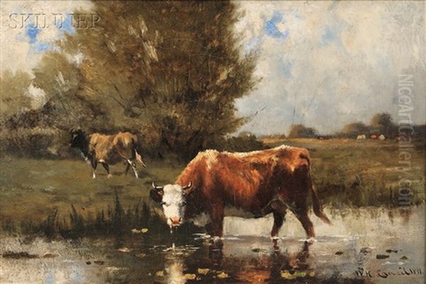 Cows Watering - view 1