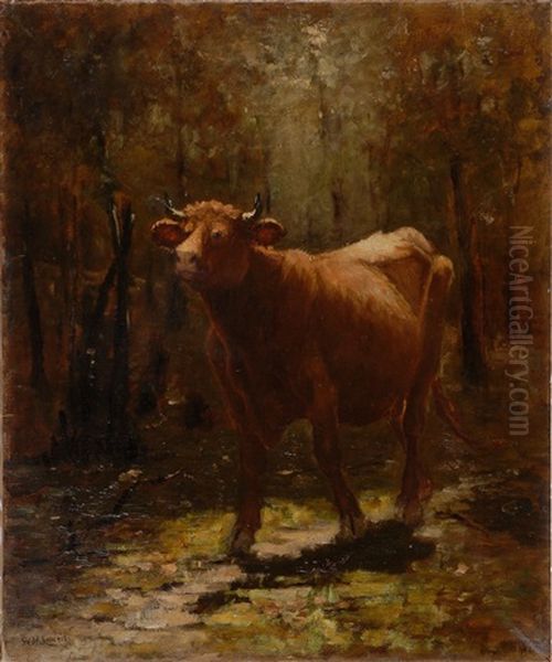 Portrait Of A Cow - view 1