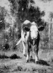 Calf by Wilbur H. Lansil