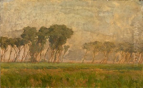 Paysage Aux Grands Arbres - view 1