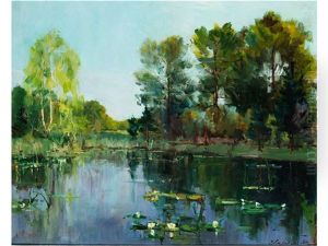 Sommerlandschaft Mit Seerosenteich