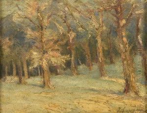 Arbres Sous La Neige