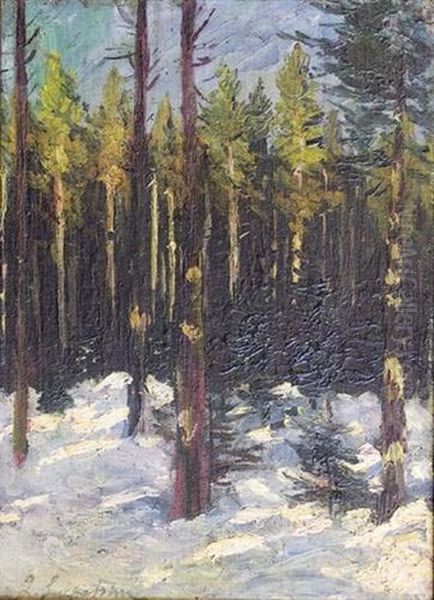 Foret Enneigee - view 1