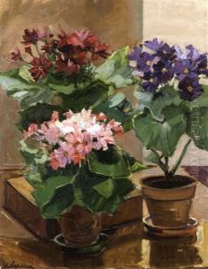 Nature Morte Aux Pots De Fleurs Dans Un Interieur