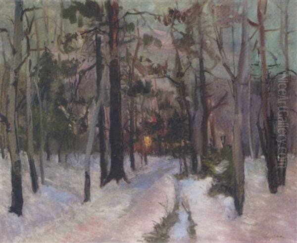 Sunset In The Forest - view 1