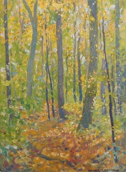 Forest Landscape - view 1