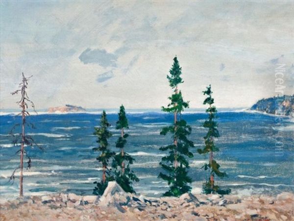 Alona Bay, Lake Superior - view 1