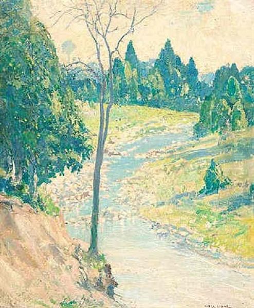 Placid Stream, White Veil - view 1