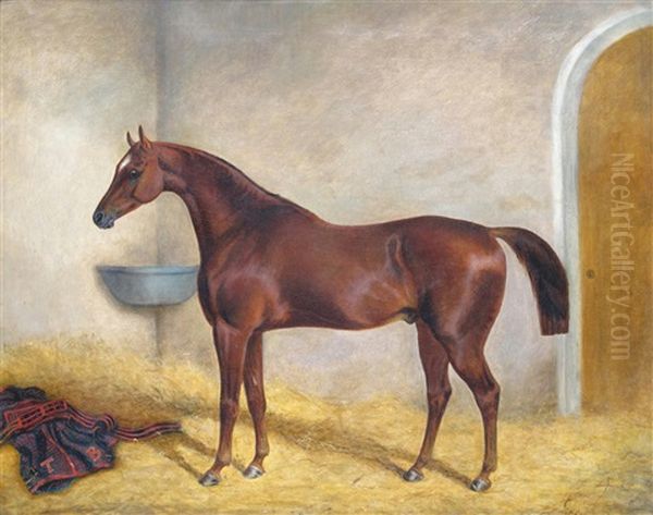 A Hunter In A Stable - view 1