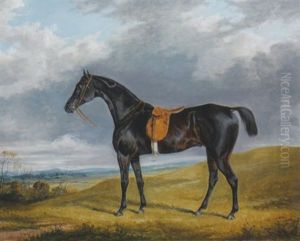 Race Horse In A Landscape