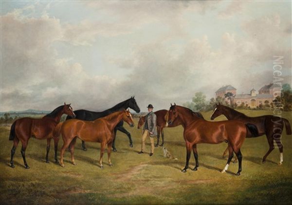 Hunters And Groom In A Paddock - view 1