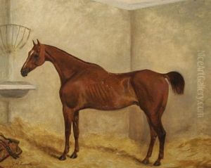 In The Stall In The Stall