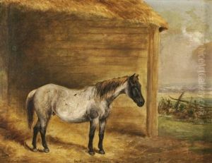 Capet Aged 35 Years by George Henry Laporte