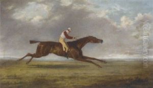 "sam", A Racehorse With Jockey Up