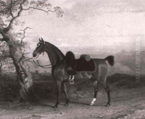 A Charger Belonging To An Officer Of The 3rd Dragoon Guards by George Henry Laporte