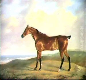 A Bay Hunter In A Landscape