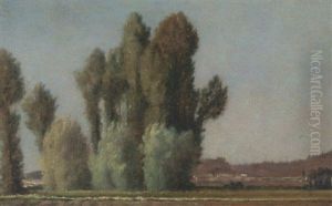 Paysage D'ile De France (peupliers) Paysage D'ile De France (peupliers)