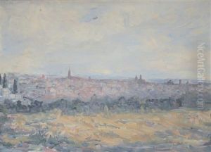 Vue Generale De Toulouse