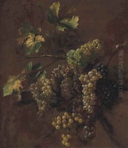 Bunches Of Grapes - A Study Bunches Of Grapes - A Study