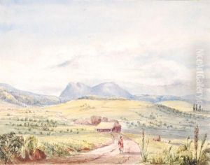 A Group Of Thirteen Sri Lankan Scenes