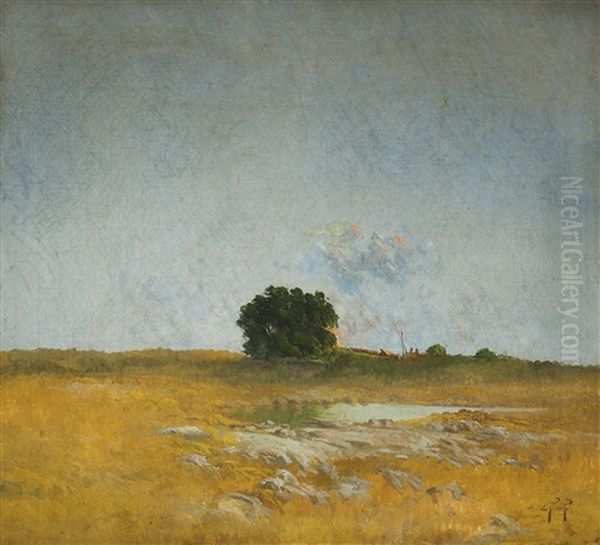 Escena De Campo - view 1