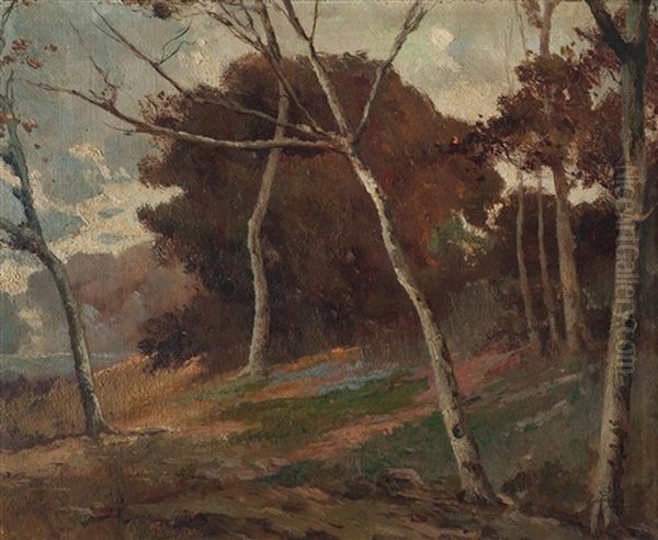 Bosque - view 1
