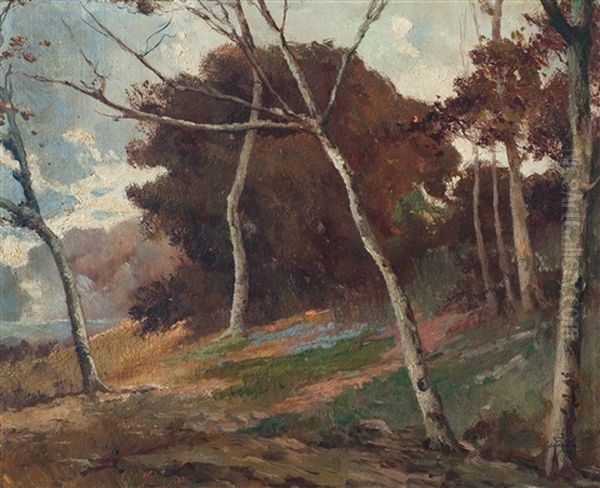 Paisaje Con Arboles - view 1